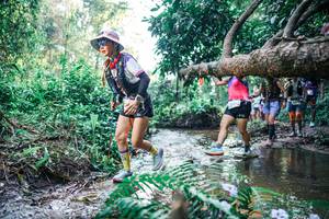 BIB: 
                            <button type="button" onclick="openModal(25448966)" class="btn btn-primary btn-sm float-right btn-popup" data-toggle="modal" data-target=".modal-high-quality">
                        <i class="fas fa-shopping-cart"></i> Add to Cart
                    </button>
                                            <button type="button" onclick="isThisMe(25448966, true)" class="btn btn-success btn-sm float-right btn-popup btn-isme hidden" data-toggle="tooltip" data-placement="bottom" title="นี่คือรูปของคุณใช่ไหม คลิกที่นี่เพื่อเอาเข้าอัลบั้ม">
                        <i class="fas fa-plus"></i> Add to album
                    </button>
                    <button type="button" onclick="isThisMe(25448966, false)" class="btn btn-warning btn-sm float-right btn-popup btn-isnotme hidden">
                        <i class="fas fa-ban"></i> Remove from album
                    </button>